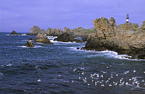 View of the coastline and Creac'h lighthouse, Ouessant Island, Bretagne, France, June 2005