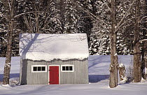 Typical wooden hut in forest covered in snow, Tewkesbury, Quebec, Canada, December 2001