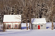 Two typical wooden huts in forest in winter, Tewkesbury, Quebec, Canada, December 2001