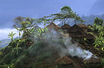 View of Yali village of Serkasi, with thatched traditional huts,  West Papua, former Irian-Jaya, Indonesia, August 2002 (West Papua).