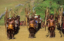 Rows of Yali hunters in traditional dress, gathered for an independance demonstration of Yali tribes. West Papua, former Irian-Jaya, Indonesia, August 2002 (West Papua).