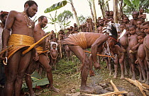 Yali men making fire using stick, wearing traditional dress,  with penis gourd abd and ratan girdles. West Papua, former Irian-Jaya, Indonesia, August 2002 (West Papua).