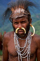 Portrait of Yali hunter in traditional dress, with nose adornment made of wild pig's bones, and rooster feather head-dress. West Papua, former Irian-Jaya, Indonesia, August 2002