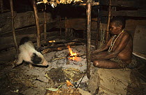 Yali woman tending open fire in traditional house with baby pig. West Papua, former Irian-Jaya, Indonesia, August 2002 (West Papua).