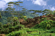 View of Yali village of Serkasi, with thatched huts,  West Papua, former Irian-Jaya, Indonesia, August 2002