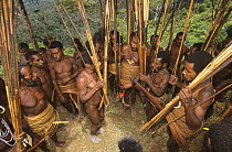 Yali men in traditional dress, gathered together for  dancing. West Papua, former Irian-Jaya, Indonesia (West Papua).