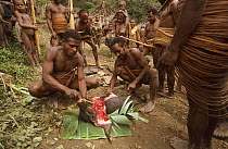 Yali men butchering a pig to cook, Uldam village. West Papua, former Irian-Jaya, Indonesia, August 2002 (West Papua).