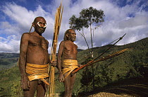 Two Yali hunters in traditional dress, with nose adornment made of wild pig's bones, rooster feather head-dress, penis gourds, and bow and arrows. West Papua, former Irian-Jaya, Indonesia, August 2002...