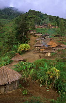 View of Yali village of Uldam, with thatched huts, West Papua, former Irian-Jaya, Indonesia., August 2002