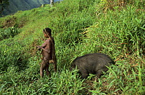 Yali woman with pig in fields,  West Papua, former Irian-Jaya, Indonesia., August 2002 (West Papua).