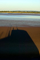 Towering shadow of medieval Lydney harbour wall at low tide, site of second highest tidal range in the world after Bay of Fundy (Canada). Severn Estuary. Gloucestershire, England, UK. September 2009