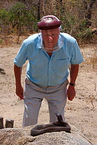 Sir David Attenborough approaching a Mozambique Spitting Cobra (Naja mossambica) prior to having venom spat at his face, whilst filming for BBC television series Life in Cold Blood. Houdspruit, South...