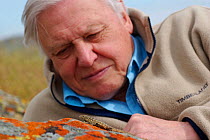 Sir David Attenborough watching a Side blotched lizard (Uta stansburiana) on rock, Santa Nella, California, USA. For BBC television series "Life in Cold Blood", April 2006