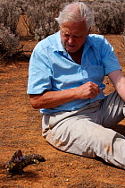 Sir David Attenborough watching a Gidgee skink, (Egernia stokesi) performing a threat display in Adelaide, South Australia, whilst filming for BBC television series Life in Cold Blood. November 2006