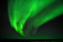 Northern lights display, Manitoba, Canada