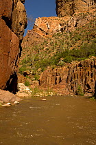 Aravaipa Canyon Wilderness, an 11 mile long canyon that cuts through the north end of Galiuro Mountains. Tucson, Federal Wilderness Area, USA