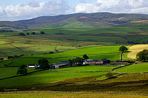 Upland farm on the edge of Snowdonia NP, North Wales, August 2009