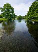 River Dee, important habitat for breeding Salmon, Grayling and Brown Trout, North Wales, August 2009