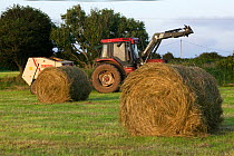 Tractor and baling machine haymaking. Large round bales in the Gower, West Glamorgan, Wales, August 2009