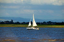 Sailing on Severn Estuary Bridgewater Bay NNR, Burnham on Sea, Somerset, England, August 2009