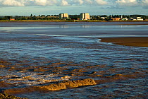 Berkeley nuclear power station (now decommissioniing) on banks of Severn Estuary. England, August 2009