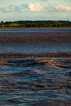 Severn Estuary tidal patterns, with Wales on the horizon, England, August 2009