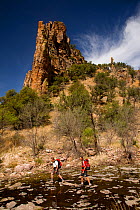 Two hikers walking down the creek running through Sycamore Canyon part of Coronado National Forest. Arizona, USA, March 2009, model released