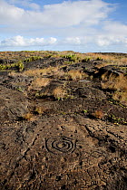 Pu' uloa Petroglyphs along the Chain of Craters Road in Hawai'i Volcanoes National Park, Big Island of Hawaii, USA, December 2008