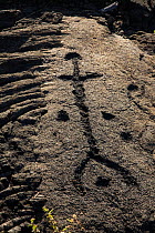 Close up of  Pu' uloa Petroglyphs along the Chain of Craters Road in Hawai'i Volcanoes National Park. The Big Island of Hawaii, USA, December 2008