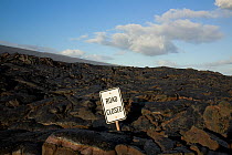Lava flow over the Chain of Craters Road, with road closed sign, Hawai'i Volcanoes National Park. The Big Island of Hawaii, USA, December 2008