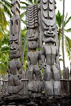 Ki'i / wooden images stand watch at Pu'uhonua o Honaunau National Historic Park. The Big Island of Hawaii, USA, December 2008