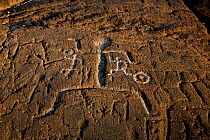 Puako Petroglyphs near the Holoholokai Beach Park on the South Kohala area of the Big Island. The Big Island of Hawaii, USA, December 2008