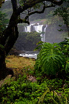 Pe'epe'e Falls in Wailuku River State Park near Hilo. The Big Island of Hawaii, USA, December 2008