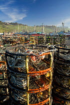 Crab pots in boat launching area at the Port Orford Harbor, Port Orford. Oregon, USA, May 2008