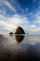 Sunrise at Cannon Beach with Haystack Rock at the oceans edge. Oregon, USA, November 2009