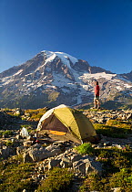 Tent set up in the wilderness camping zone of the Tatoosh Range in Mount Rainier National Park.Washington, USA, September 2008