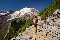 Person hiking along the Burroughs Loop Trail near Sunrise in Mount Rainier National Park. Washington, USA, August 2009, model released