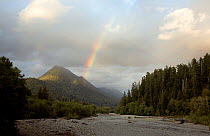 Rainbow over the Quinault River Valley in Olympic National Park. Washington, USA, September 2009