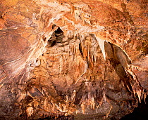 Calcite cradle and stalactites in the Marble Arch Caves, County Fermanagh, Northern Ireland, UK, January 1995