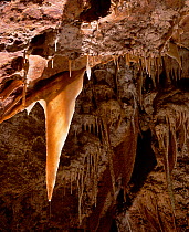 Long John Silver stalactite in the Marble Arch Caves, Enniskillen, County Fermanagh, Northern Ireland, UK, January 1995