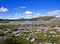 Lough Gealain and limestone pavement, Mullaghmore, Burren National Park, County Clare, Republic of Ireland, May 1989 .
