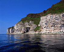 Stroanlea south cliffs, Rathlin Island, County Antrim, Northern Ireland, UK, June 1996
