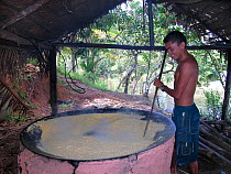 Man toasting manioc flour in the Amazon Upland Rainforest, Piagacu-Purus Sustainable Development Reserve, Purus River, Amazonas State, Brazil. April 2004