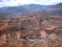 Colca Canyon in the Andes mountains, near Arequipa city, Peru.