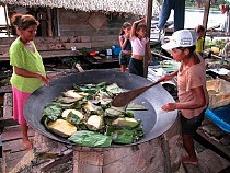 Women making cakes of manioc (called "beiju") in community Cuiuan, Piagacu-Purus Sustainable Development Reserve, Purus River, Amazonas State, Brazil.