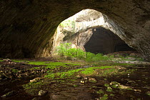 Cave which is home to many bat species, and underground river, Sardinia