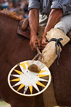 A gaucho (cowboy) prepares his sun-shaped stirrups just before the wild horse is released during the rodeo of the Fiesta De La Patria Gaucha, Tacuarembo, Uruguay, April 2008