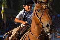 A young tradionally dressed gaucho (cowboy) rides a horse (Equus caballus) during the parade of the Fiesta De La Patria Gaucha, Tacuarembo, in Uruguay, April 2008