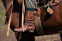 The traditional boots, stirrups and tack of a gaucho (cowboy) mounted on a horse (Equus Caballus), during the Fiesta De La Patria Gaucho, Tacuarembo, Uruguay, April 2008