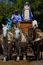 Three horses (Equus caballus) transport a statue of the Madonna, during the parade of the Fiesta De La Patria Gaucha, Tacuarembo, Uruguay, April 2008